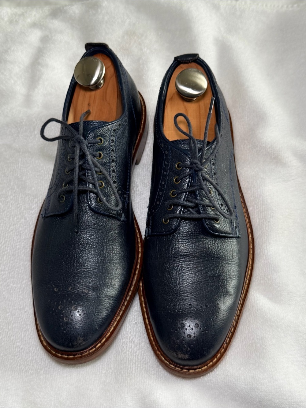 Cole Haan Navy Blue Leather Wingtip Oxfords - Picture 7 of 7